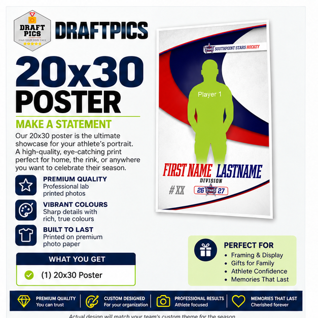 20x30 Poster Print